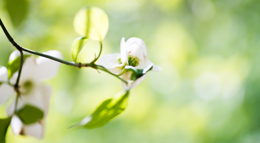 Spiritual Growth in Every Season being Planted